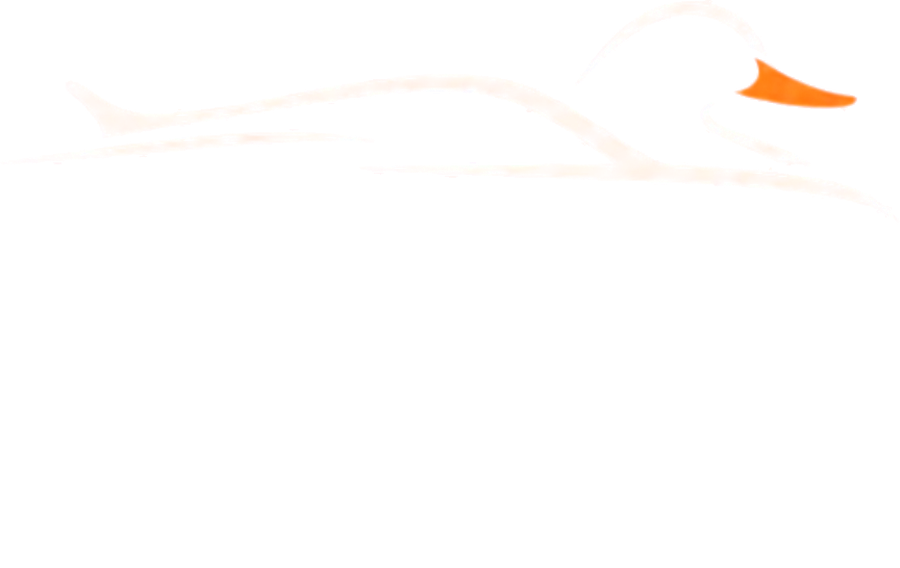 Ducktail Detailing logosu